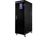 Стабилизатор напряжения Delta DLT SRV 330020